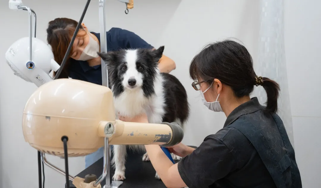 予防治療・早期発見をメインに