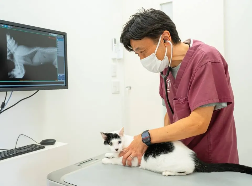 動物医療のスペシャリストとして『トータルサポート』をご提供